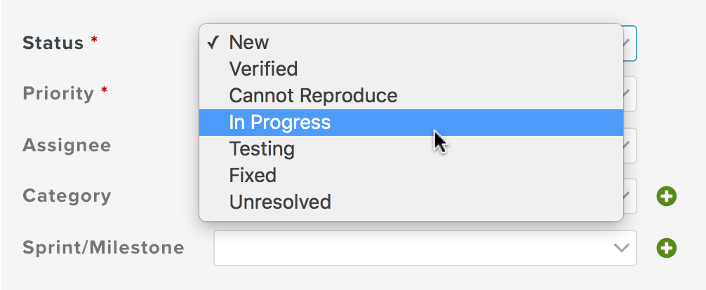 Custom Statuses for Bugs