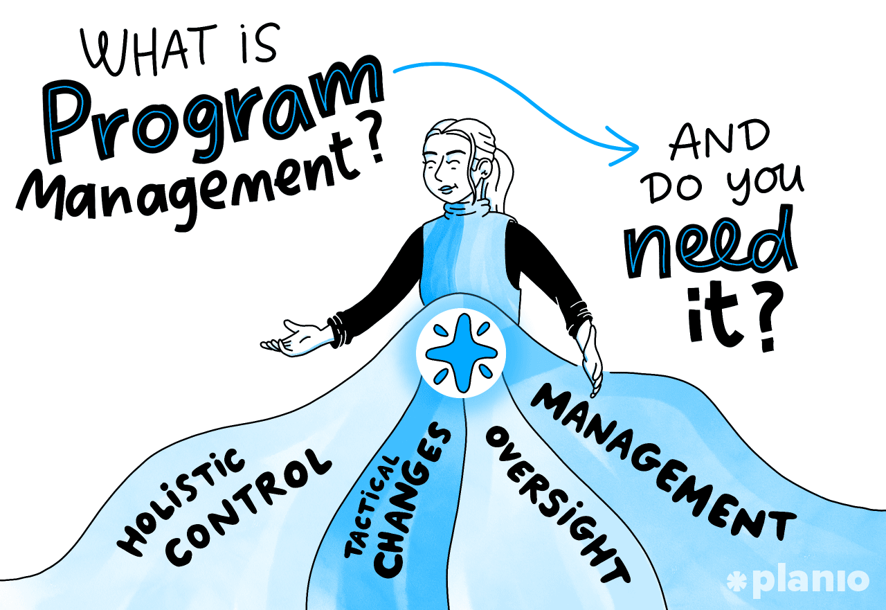 What Is Program Management Do You Need It Planio