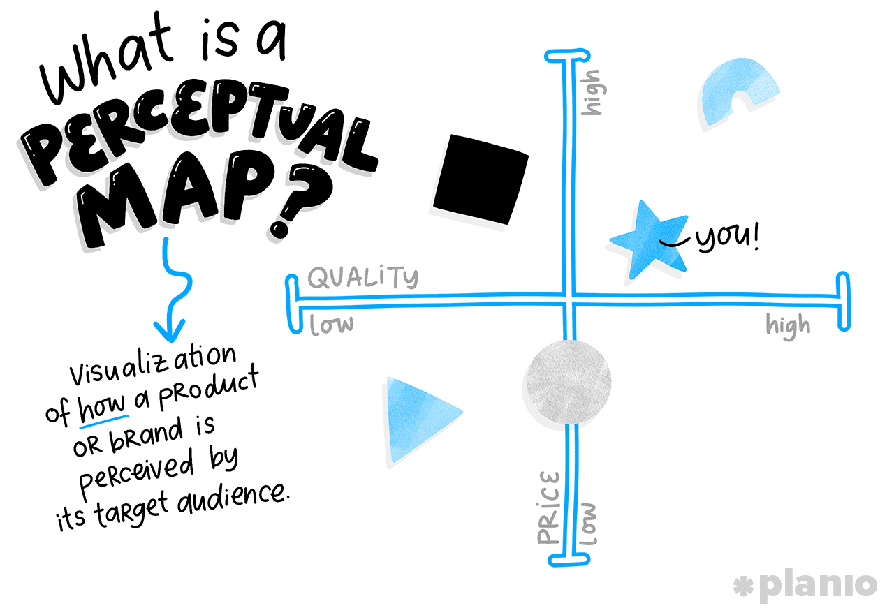 What is a perceptual map?