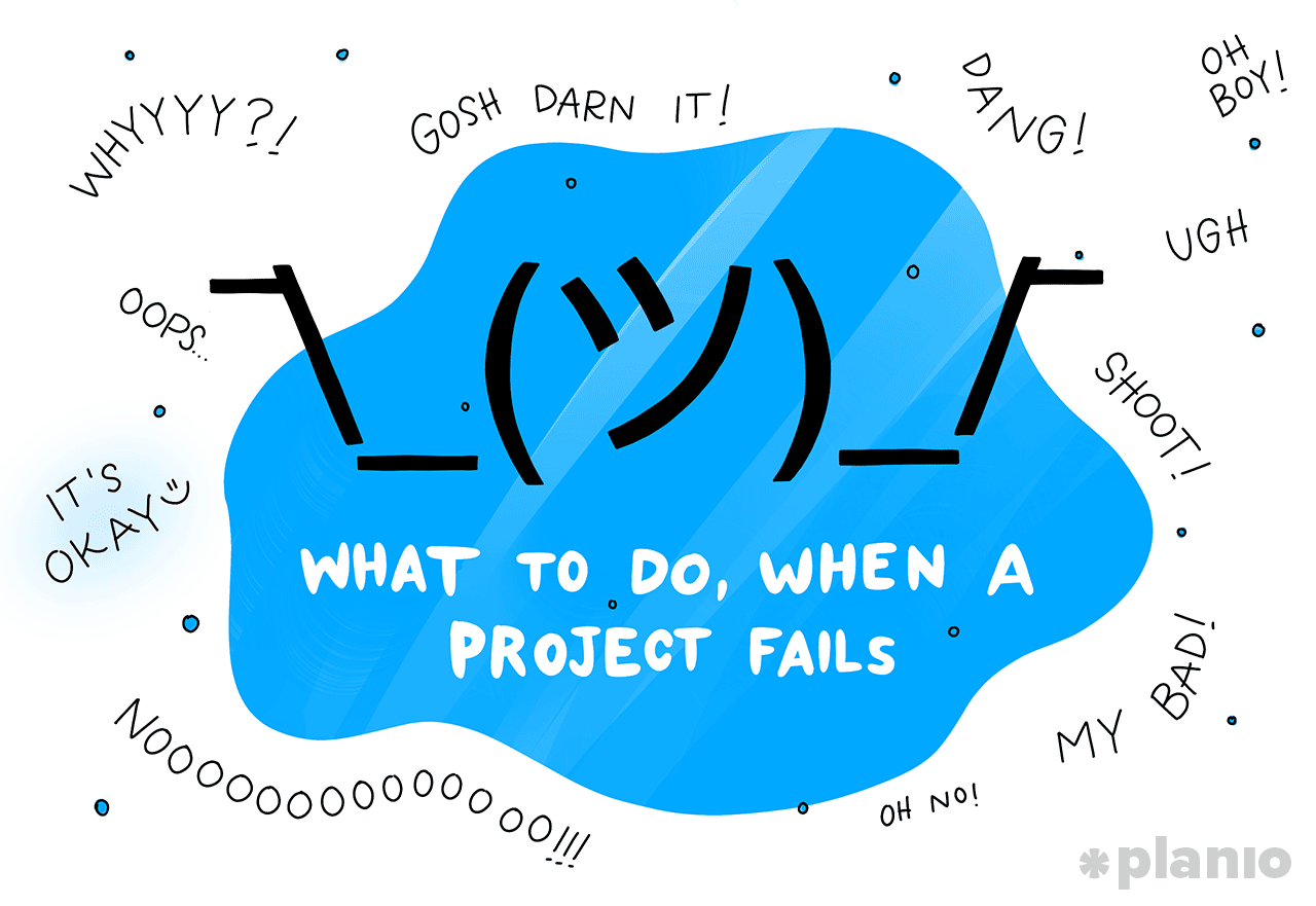 it projects that failed case studies